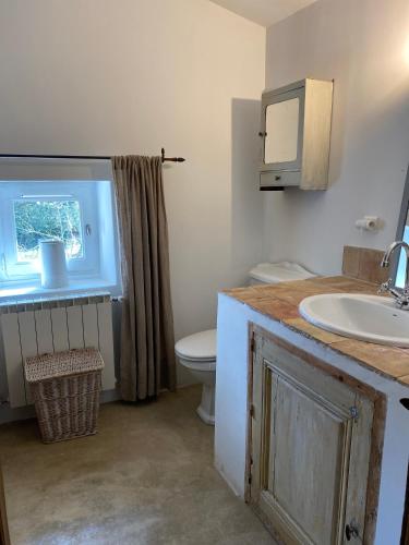 une salle de bain avec un lavabo et des toilettes dans l'établissement La Bastide des Chênes Lacoste, à Lacoste