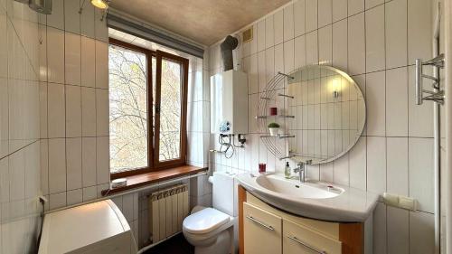 a bathroom with a sink and a mirror and a toilet at Calm Central Apartment in Kharkiv