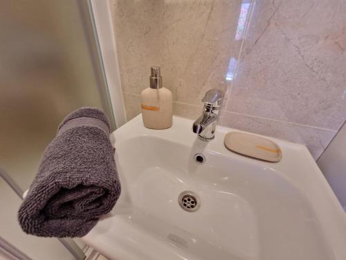 białą umywalkę z butelką mydła w obiekcie Cozy Room Albina w Bašce