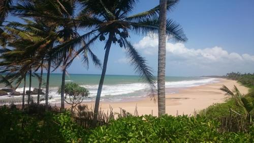 a beach with palm trees and the ocean at Turtle Bay Boutique Hotel in Tangalle