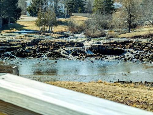 un flusso d’acqua con rocce in un campo di Waterfall Sea Cottage Family fire pit waterfront sleeps 4 a Gouldsboro