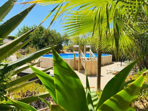 a swimming pool in a yard with green plants at Quinta da Vida in Moncarapacho