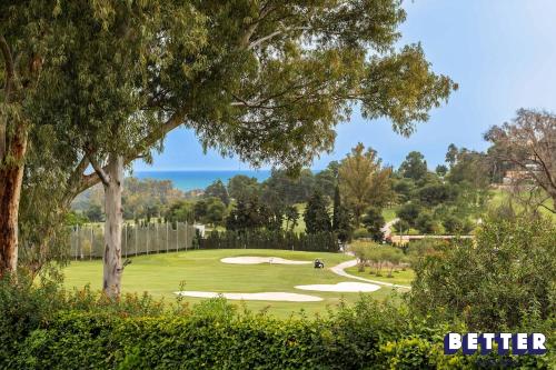 Last Years Estepona Winner By Better Bookings photo 6