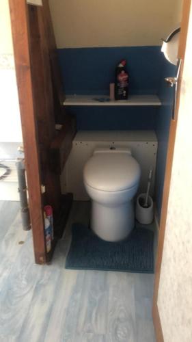 La salle de bains est pourvue de toilettes blanches dans un mur bleu. dans l'établissement La Tourelle, à Heuringhem