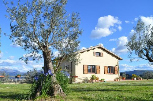 a house in a field with a tree at Agriturismo Colle Bello in Spoleto