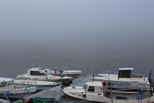 a bunch of boats are docked in a harbor at Hotel Repvåg in Repvåg