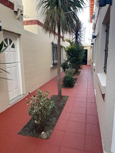 a sidewalk with a palm tree on the side of a building at Hermoso Depto en Comodoro! in Comodoro Rivadavia
