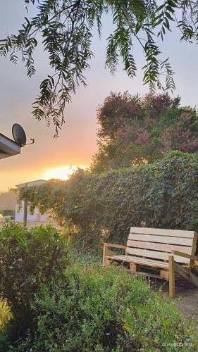 a wooden bench sitting under a tree with the sunset in the background at Tiny house experience in Rungue