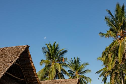 two palm trees against a blue sky at Pole Pole Bungalows in Utende