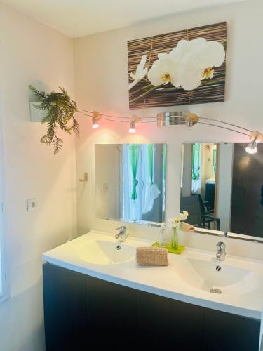 une salle de bain avec un lavabo et un miroir dans l'établissement Villa Familiale Soleil et détente, à Salignac