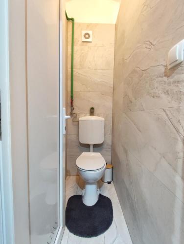 a small bathroom with a toilet and a shower at Hostel Temza in Zagreb