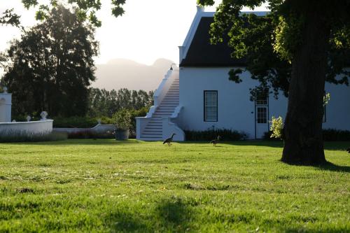 two birds walking in front of a white house at Adara Palmiet Valley Luxurious Boutique Farm Hotel in Paarl