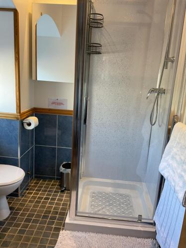 a bathroom with a shower and a toilet at The Old Smiddy Cottage and Apartment in Balloch
