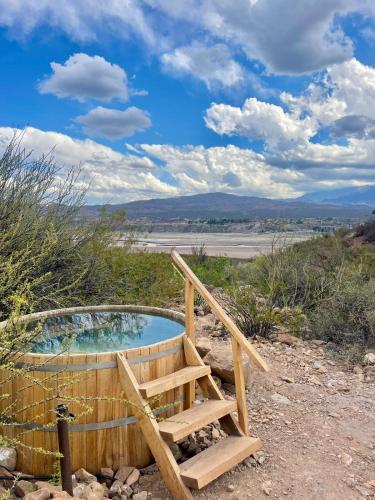 a hot tub with a staircase in a field at El Nido Domos in Mendoza