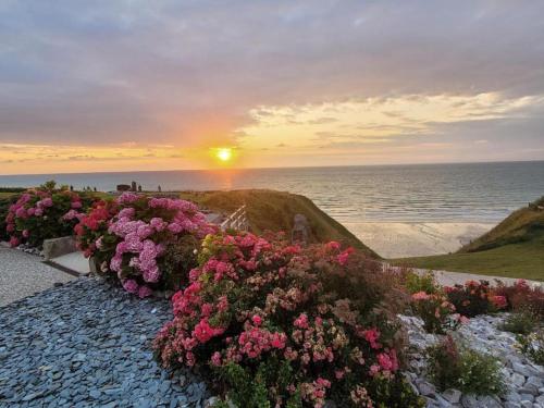 un coucher de soleil sur l'océan avec des fleurs roses dans l'établissement L'hippo 51, à Saint-Martin-Plage
