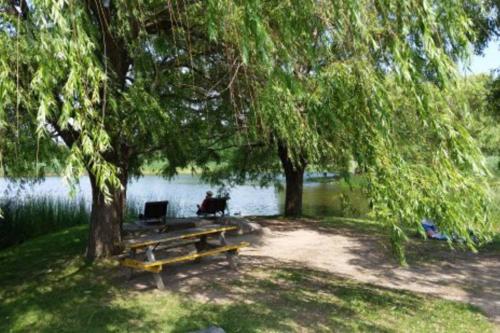 a picnic table under a tree next to a lake at Modern 3 bedroom condo in Montréal