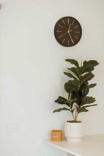 デボンポートにあるVerve New Home in Devonportのギャラリーの写真