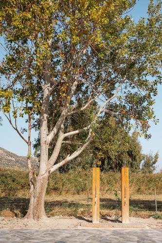 a tree with two yellow posts next to a fence at Naftilos Rosmarinus Apartments in Potokáki