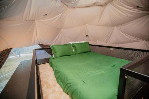 a bed in a tent with a green pillow at 2 domes in Glendale Utah Fantastic Stargazing in Glendale