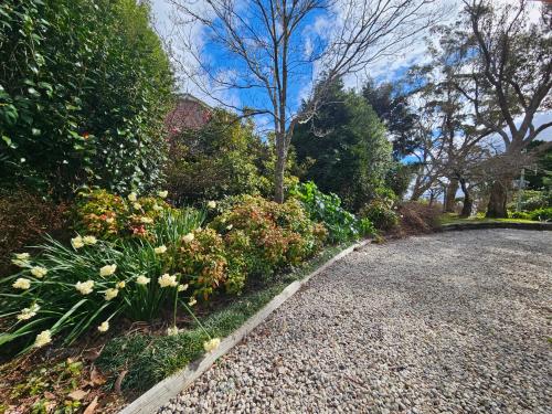 a garden with flowers and a gravel road at Bellevue - Beautiful View in Mount Victoria