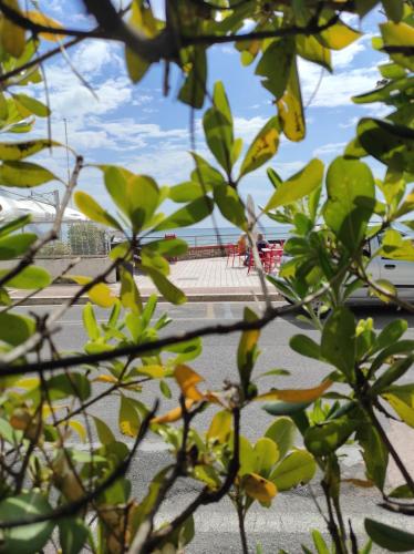 a view of a park through the leaves of trees at La Tana in Formia