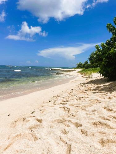 a beach with footprints in the sand and the ocean at La Parenthèse de L'Autre Bord, donnant sur la plage in Le Moule
