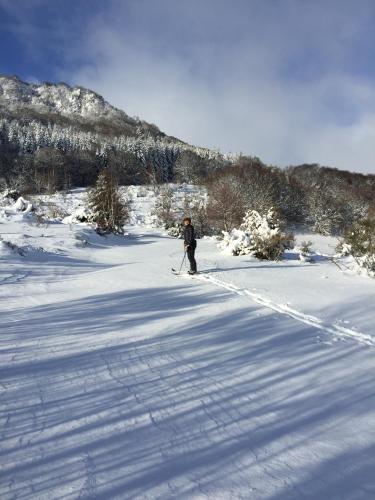 a person is cross country skiing in the snow at Aux 500 Diables Eco Lodge - Hotel in Chambon-sur-Lac