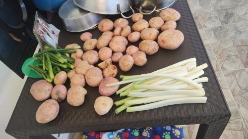 a table full of vegetables on a table at Quinta Divina Providencia in Fusagasuga