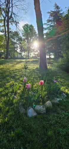 Zahrada ubytování Al Giardino Toscano