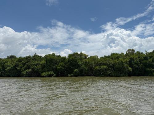 a body of water with trees in the background at Agro Village Resort , Kalpitiya in Kalpitiya