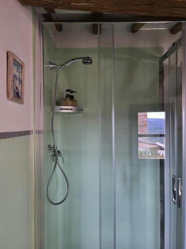 a shower with a glass door in a bathroom at Le Terrazze Del Chianti b&b Residenza d'Epoca e di Charme in Tavarnelle in Val di Pesa