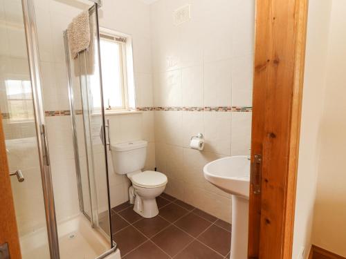 a bathroom with a toilet and a sink at Cúnna Bán in Derreen