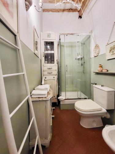 a bathroom with a shower and a toilet and a sink at Le Terrazze Del Chianti b&b Residenza d'Epoca e di Charme in Tavarnelle in Val di Pesa