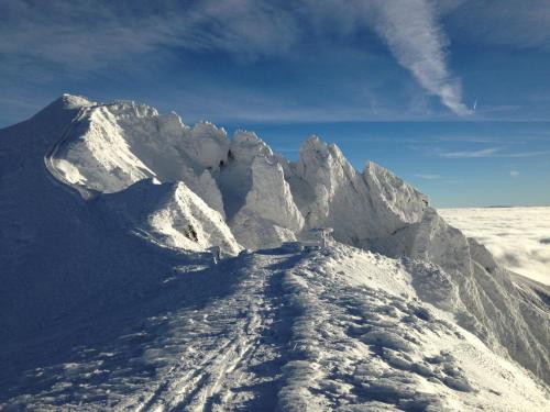 a mountain covered in snow on top at Aux 500 Diables Eco Lodge - Hotel in Chambon-sur-Lac