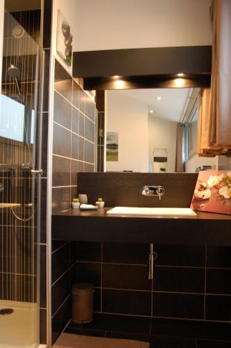 a bathroom with a sink and a mirror at Aux 500 Diables Eco Lodge - Hotel in Chambon-sur-Lac