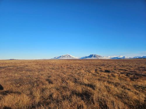 a field of dry grass with mountains in the background at Hítarneskot Accommodations in Hítarneskot