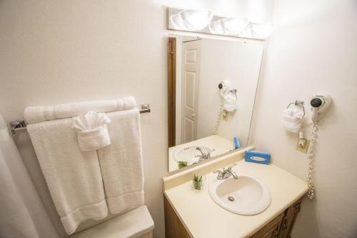 a bathroom with a sink and a mirror at Harbourside II Condos in New Bern