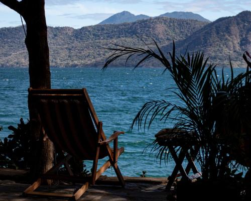 a wooden chair sitting next to a tree next to the water at Casa Marimba in La Laguna