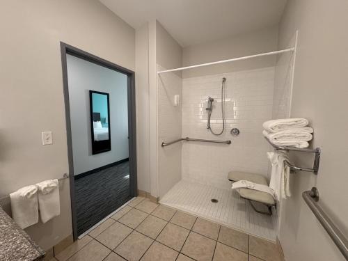 a bathroom with a walk in shower and a toilet at Quality Inn & Suites Houma in Houma