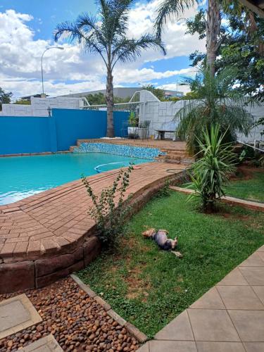 a dog laying in the grass next to a swimming pool at Orchard Guesthouse in Bloemfontein