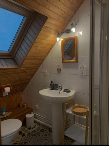 une salle de bain avec un lavabo et des toilettes dans l'établissement La Verrière du Sancy, à Picherande