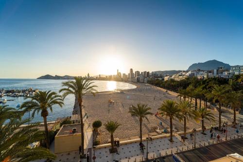 a view of a beach with palm trees and the ocean at Apartamentos Brisas del Poniente in Benidorm