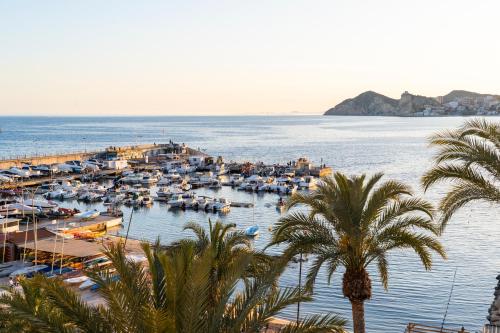 a view of a marina with boats in the water at Apartamentos Brisas del Poniente in Benidorm