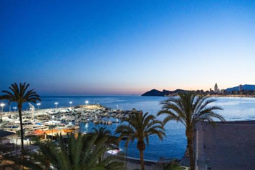 a view of a harbor with boats and palm trees at Apartamentos Brisas del Poniente in Benidorm