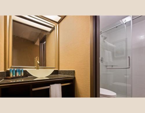 a bathroom with a sink and a shower at Radisson Hotel Southfield-Detroit in Southfield