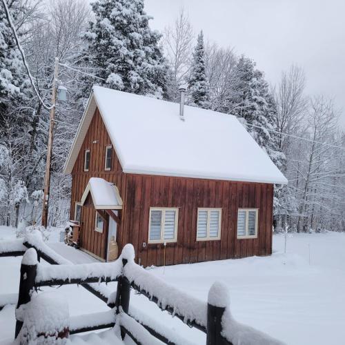a wooden cabin with snow on the roof at Old Library Lodge in Killaloe Station