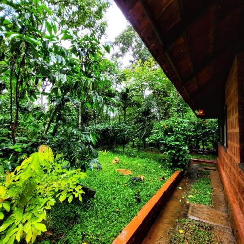 Zahrada ubytování Greens Tree House & Wood House