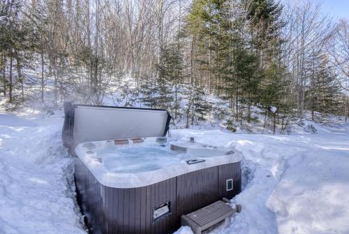 Le Bûcheron Rustic Chalet with Spa and Lake Access semasa musim sejuk