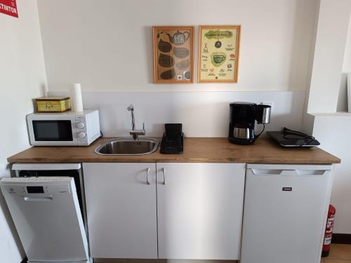 a kitchen counter with a sink and a microwave at Apartamentos Turisticos La vida de antes in Consuegra