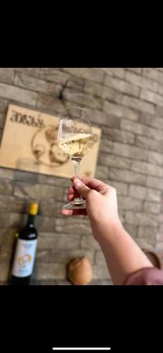a person holding up a glass of white wine at Wine tasting - Kitesa's wine cellar in Mtskheta